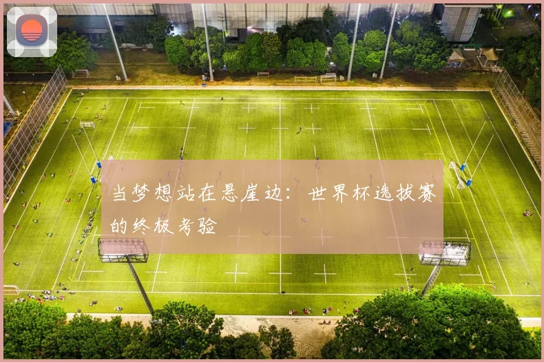 当梦想站在悬崖边：世界杯选拔赛的终极考验